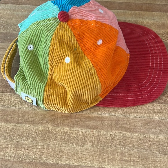 Big Bud Press Rainbow Hat - Picture 5 of 5